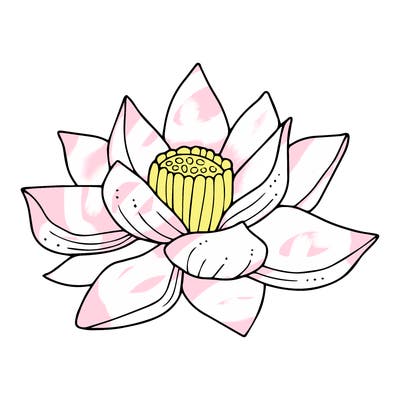 flowers_08