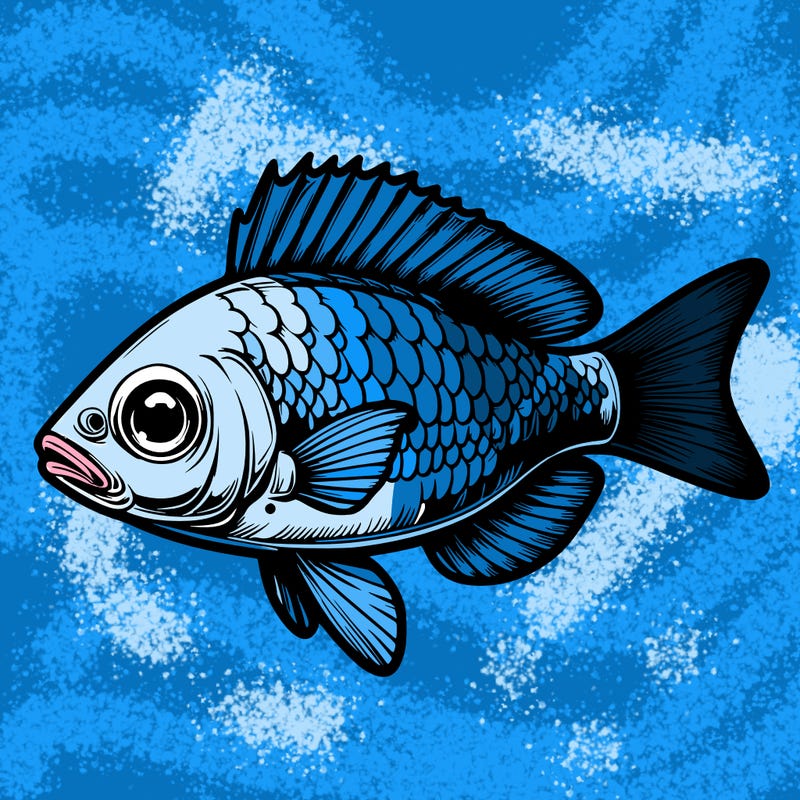 realistic fish