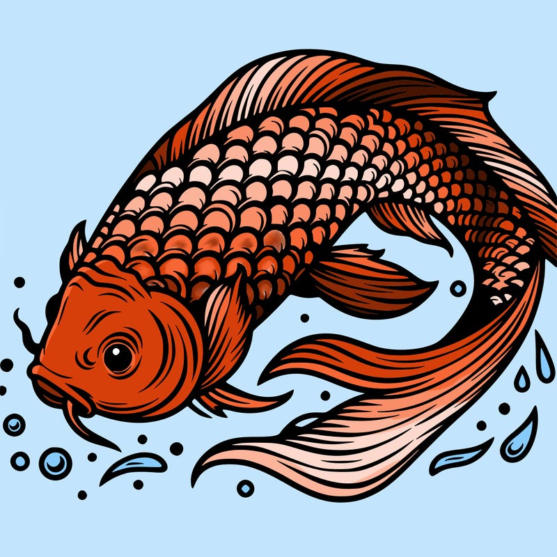 beautiful koi fish
