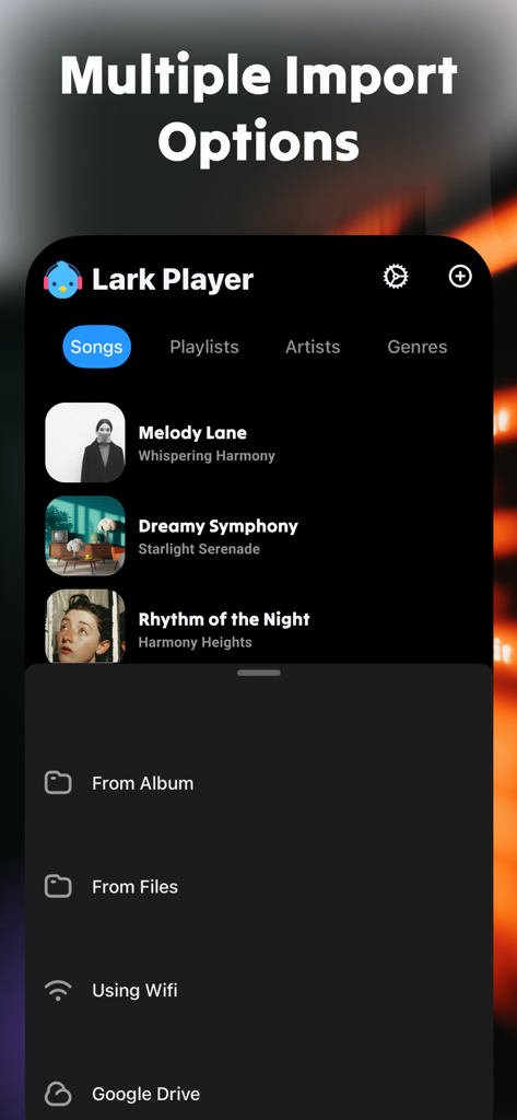 Lark Player interface displaying multiple music import options from album files wifi and google drive