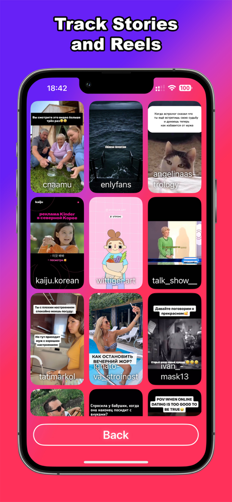 Interface do aplicativo móvel mostrando uma grade de stories e reels do Instagram rastreados