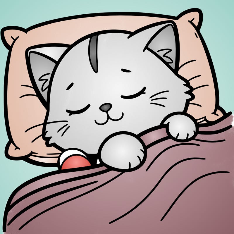 sleepy%20cat