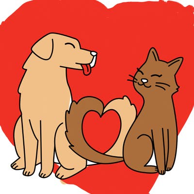 animals_22