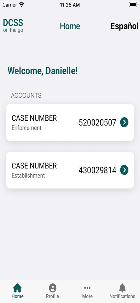 GA DCSS - Dashboard of the GA DCSS app displaying child support case numbers and enforcement details