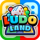 Ludo Land-Dice Board Game