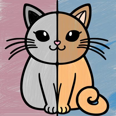 a split of a cat