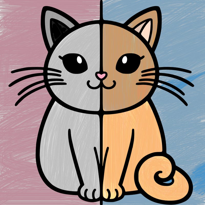 a split of a cat