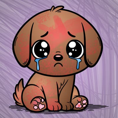 sad, cute dog