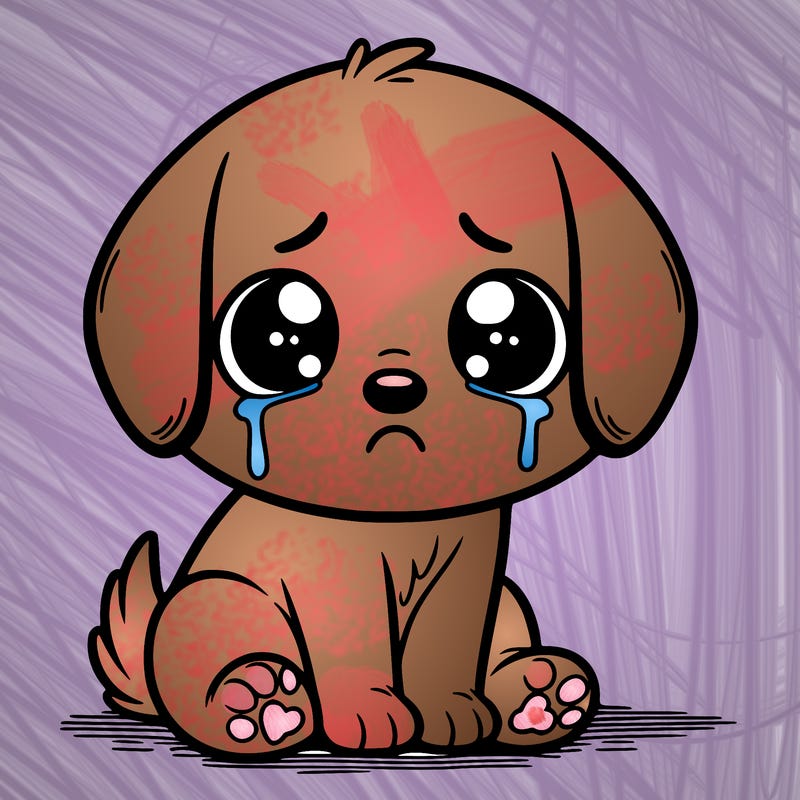 sad, cute dog