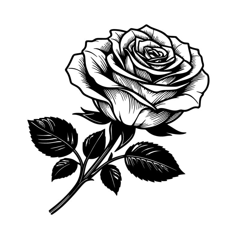 realistic rose