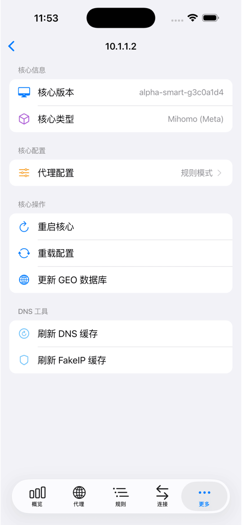 Clash Mate - Clash Mate dashboard showing network core information, proxy configuration, and DNS management tools.