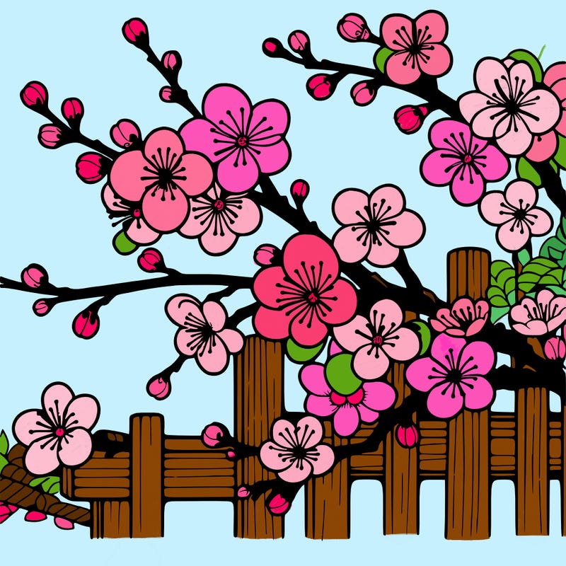 japan cherry blossom