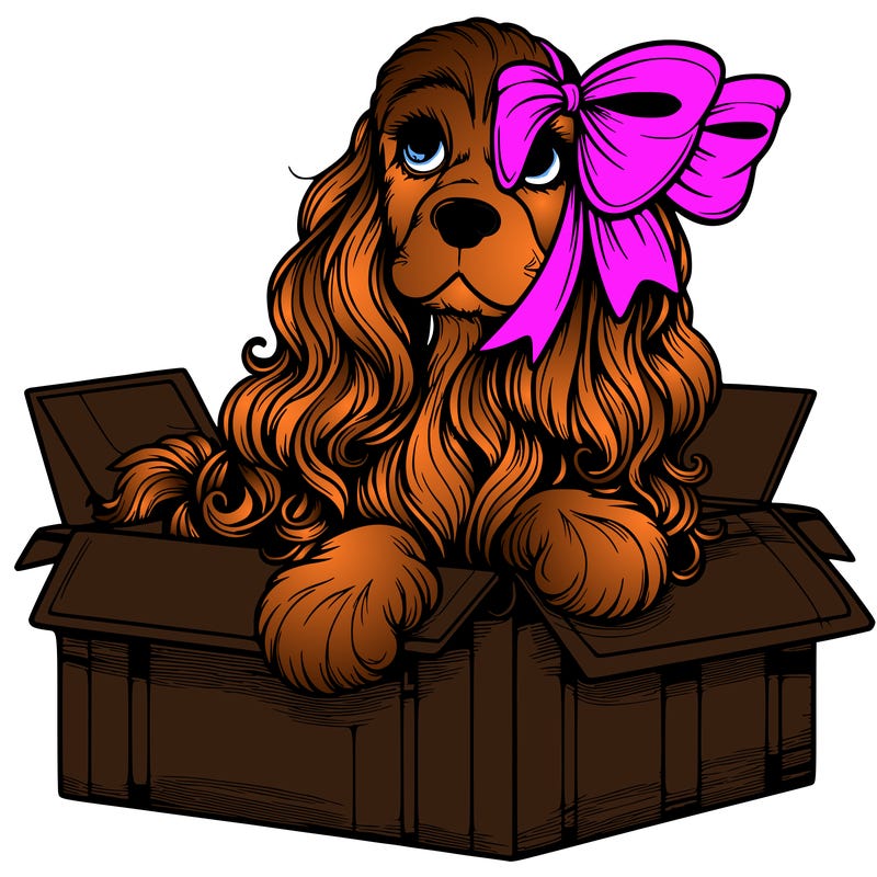a spaniel american cocker with a beautiful bow coming out if a box realistic cute