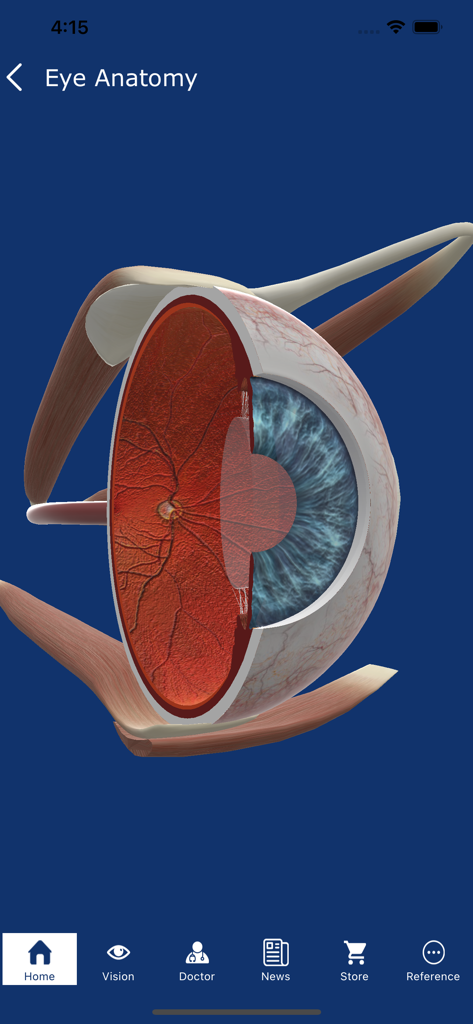 Eye Patient - Un diagrama detallado de corte transversal 3D de un ojo humano dentro de la sección de anatomía de la aplicación Paciente Ocular.