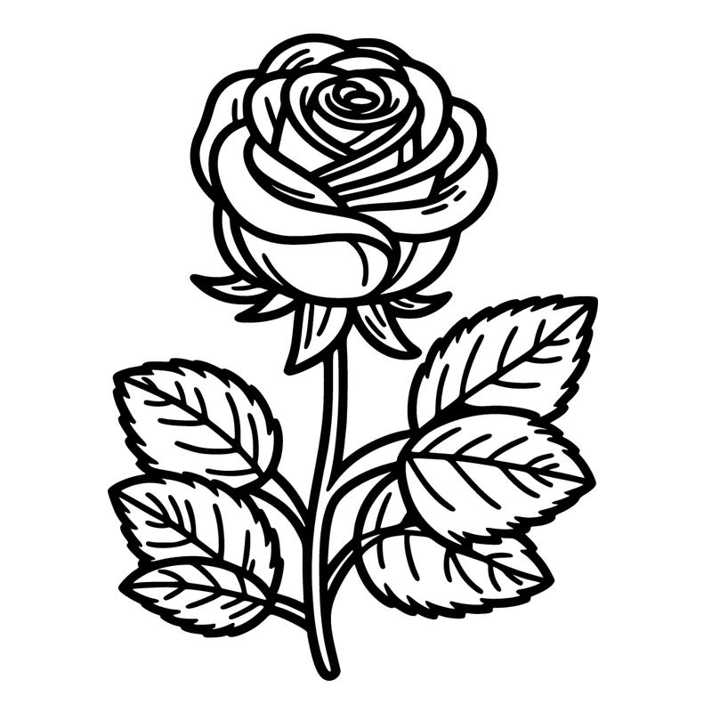 rose