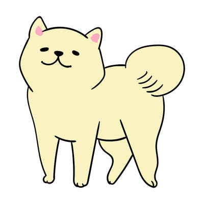 animals_29