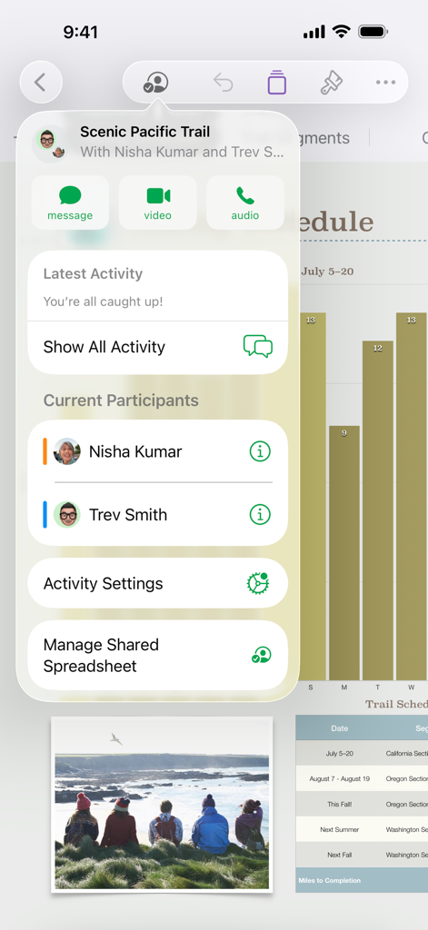 Collaboration menu in the Numbers app on iPhone showing shared activity and participant options