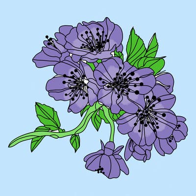 flowers_03