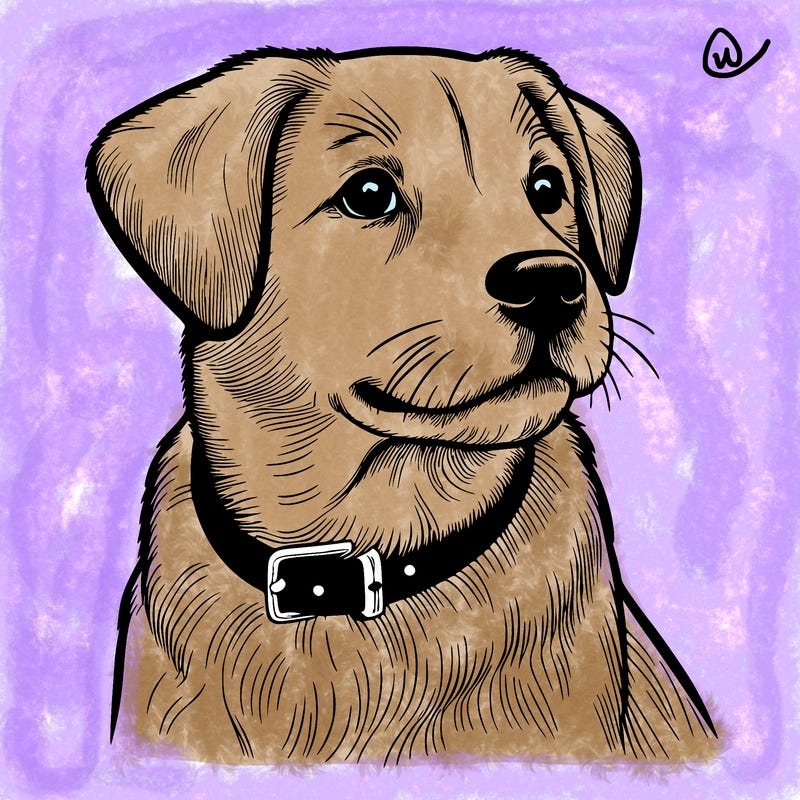 dog realistic