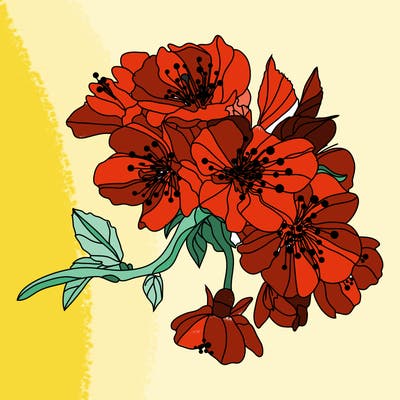 flowers_03