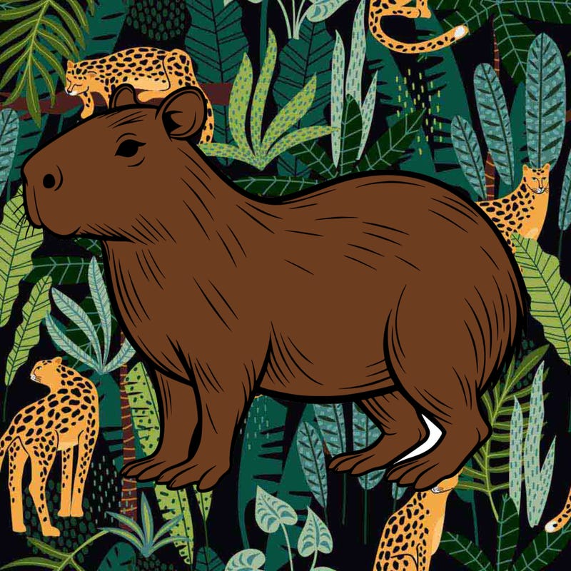 capybara