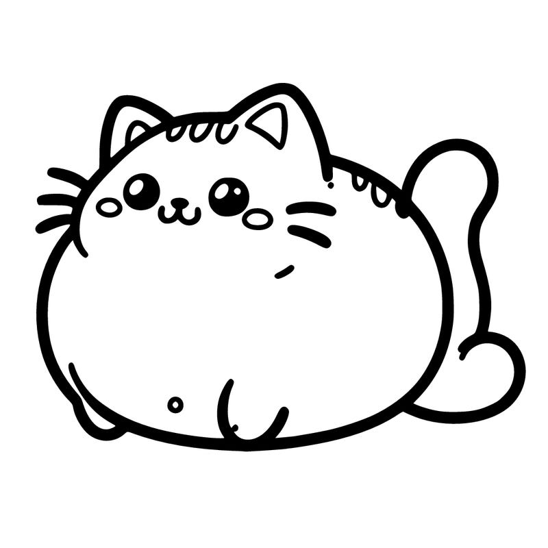 chubby cat