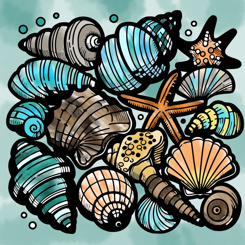 sea shells