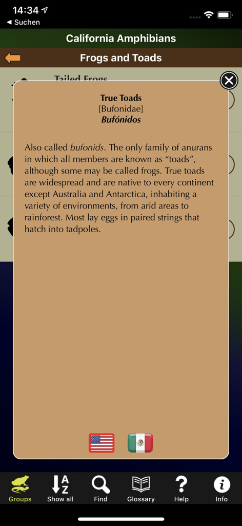 California Amphibians - Information screen about True Toads in the California Amphibians app with bilingual names.
