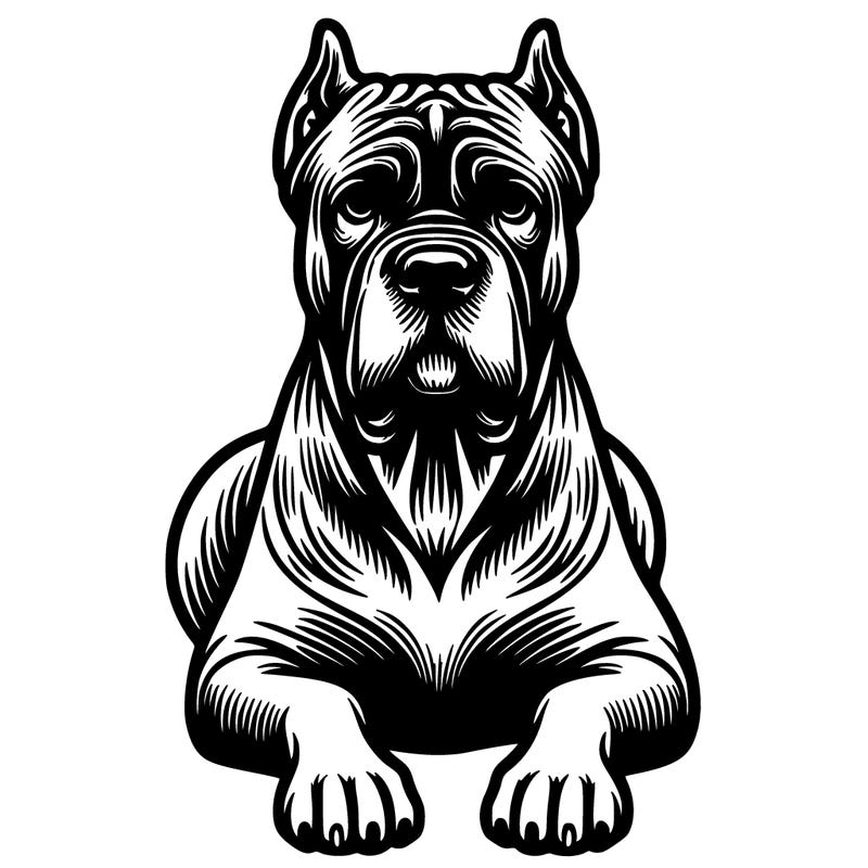 realistic male cane corso