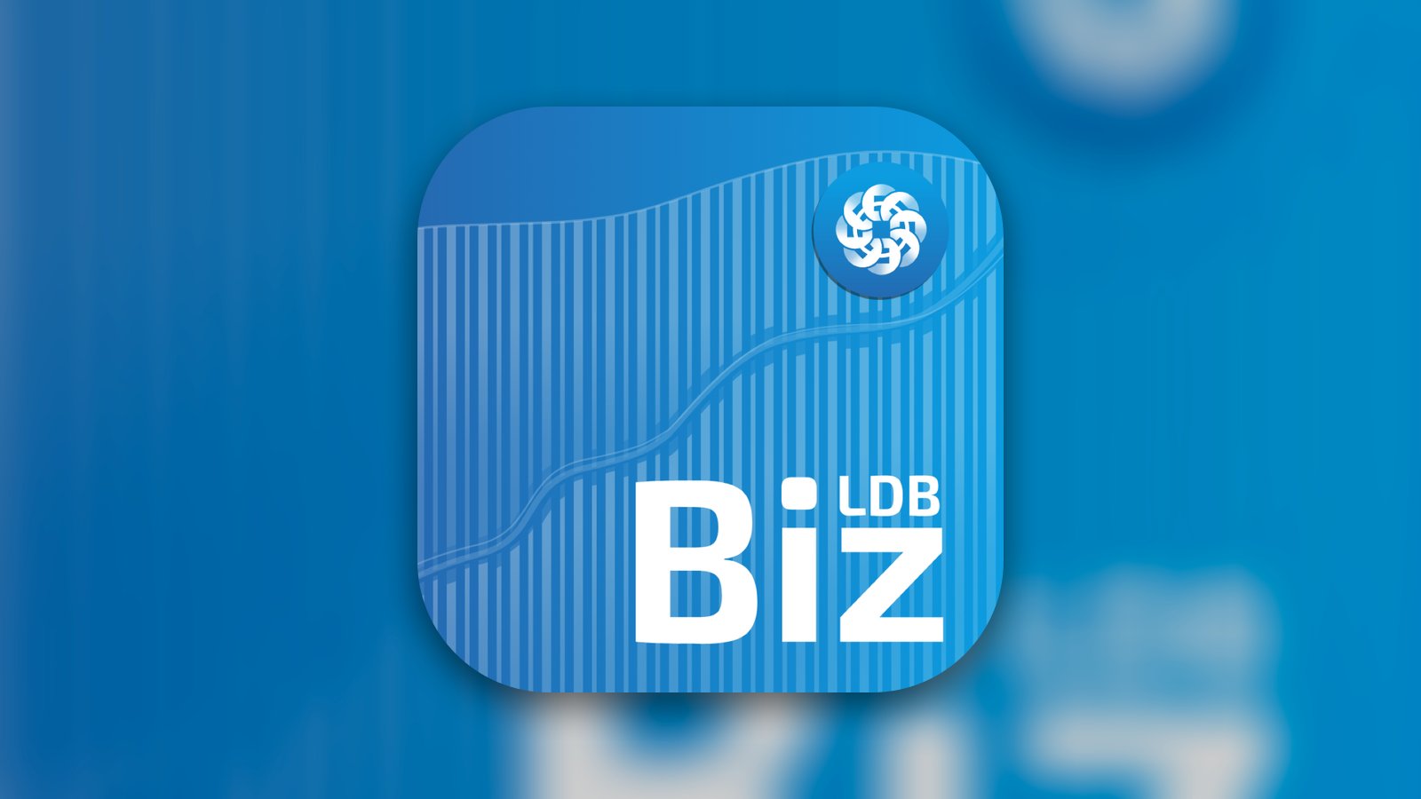 LDB Biz - Finance App | MWM