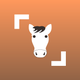 Horse Scanner
