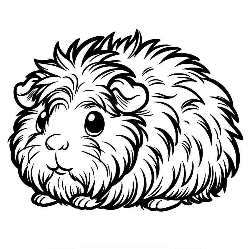 fuzzy guinea pig