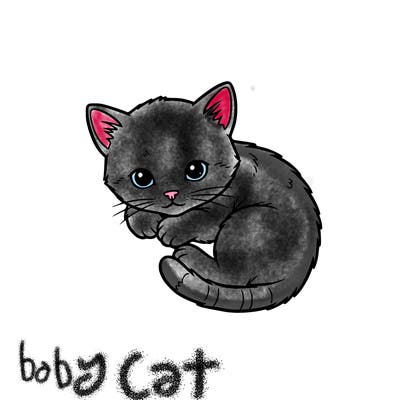 baby cat