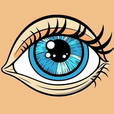 eye
