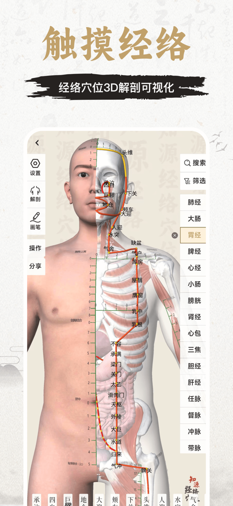 知源经络穴位-中医经络穴位针灸艾灸按摩养生舌诊中草药识别大全 - 3D human anatomy model showing TCM meridians and acupuncture points