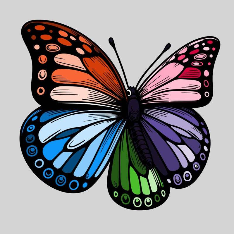 realistic butterfly