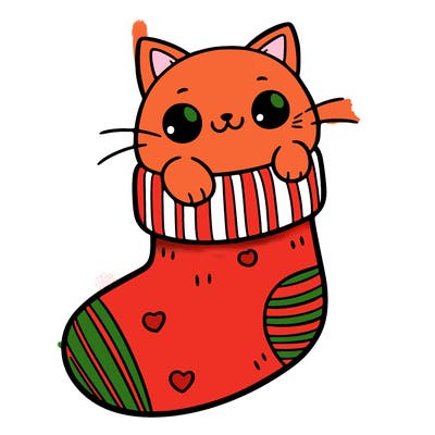 cute cat in a sock