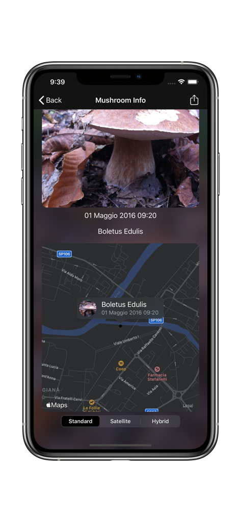 Track My Mushrooms - Detailed view of a mushroom entry showing photo, name, date, and GPS location on a map.