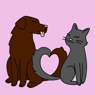 animals_22