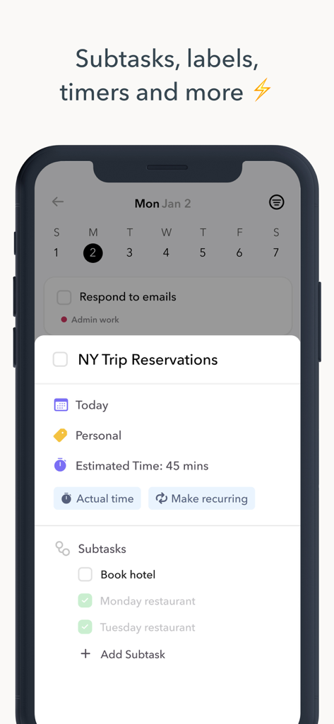 Detailed view of a task in the Ellie Daily Planner app showing subtasks labels and time tracking