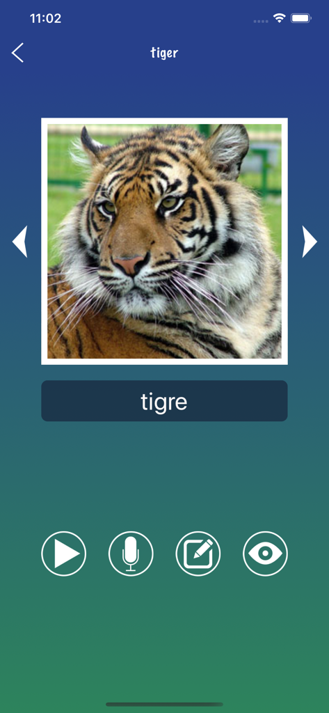 French Word Flashcards Easy - A French vocabulary flashcard showing the word tigre with a tiger picture and interactive learning icons