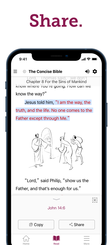 Screenshot of the Concise Bible app showing the share and copy buttons for a highlighted scripture verse