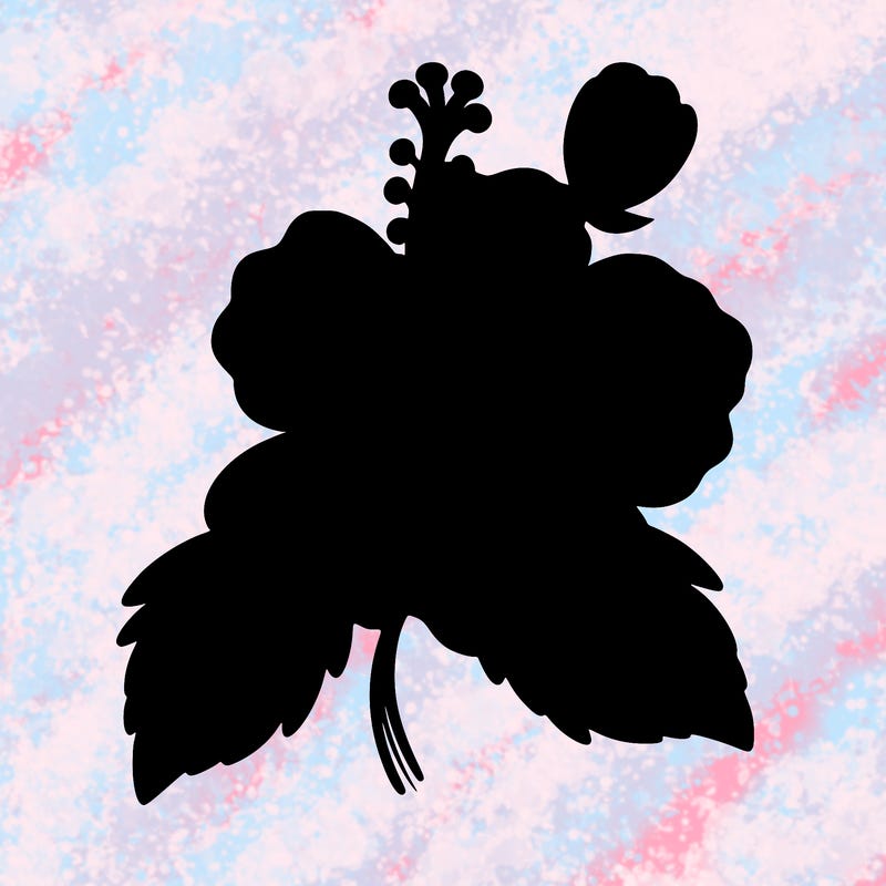 hibiscus flower