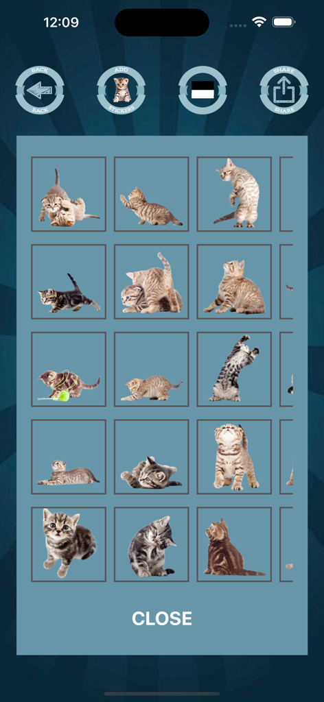 A gallery view showing various cute kitten stickers available for photo editing.