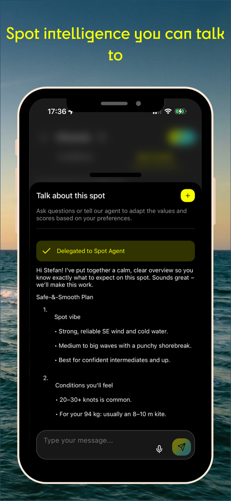GoSalty – Kitesurf Playbook - GoSalty app AI agent chat showing kite spot conditions and kite size advice
