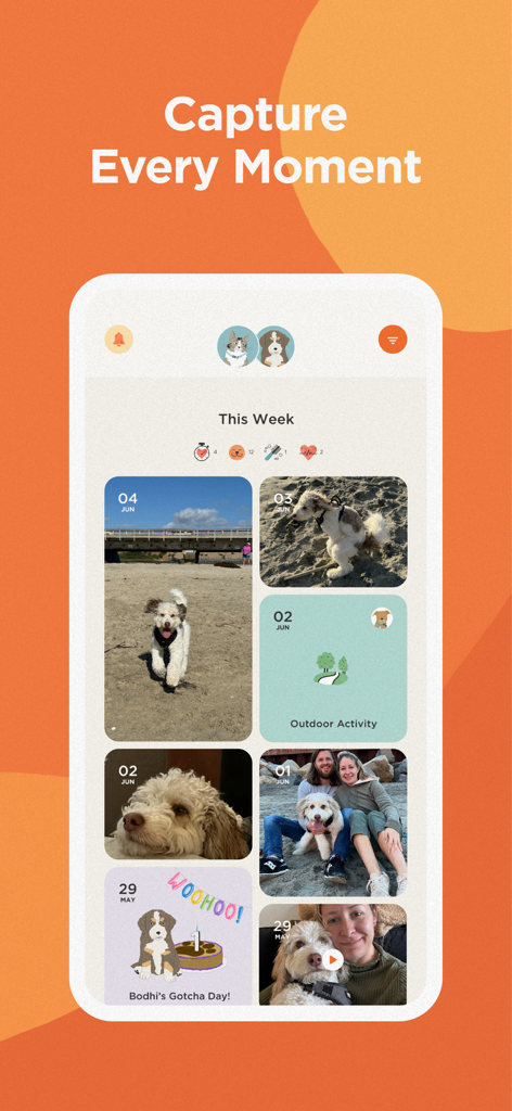 Le journal visuel de l'application The Pack by Zoetis montrant des photos d'animaux et des journaux d'activités