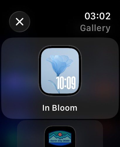 Weather mini for Watch - Apple Watch face gallery showcasing the In Bloom design with a blue flower illustration.