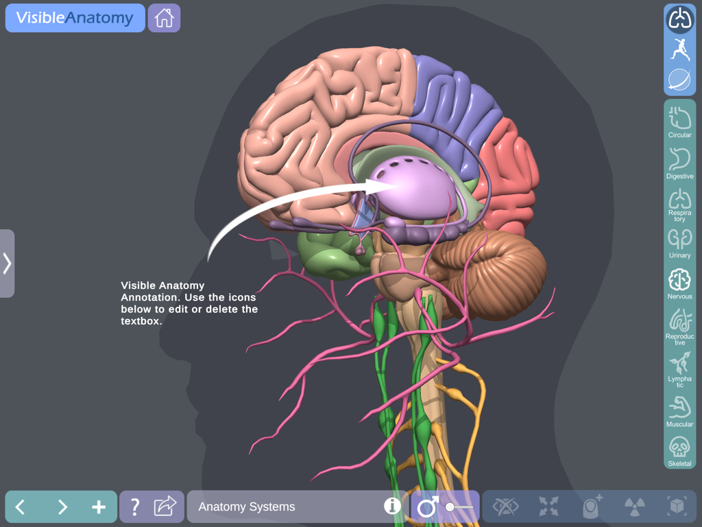 Visible Anatomy - A detailed 3D anatomical model of the human brain with an annotation arrow and medical interface icons.