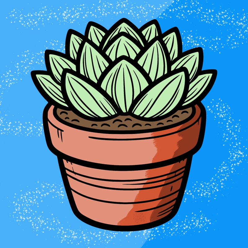 a small potted succulent with thick, layered leaves