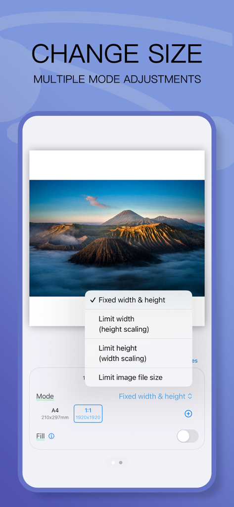 PicTool app interface showing various image resizing options like fixed width height and file size limits